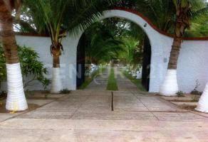 Lazaro Cardenas S/N,, Pueblo Viejo, Veracruz 92037, Mexique
