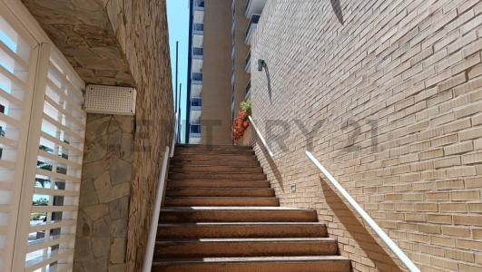 Avenida Bolivar 3D Y 4D, Porlamar, Nueva Esparta 6301, 委内瑞拉