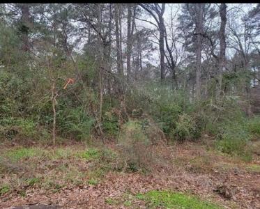 0 SPRING CREEK Drive, Pineville, Louisiana 71360, Estados Unidos