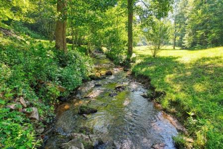 605 Owl Creek Road, Hiawassee, 喬治亞州 30546, 美國