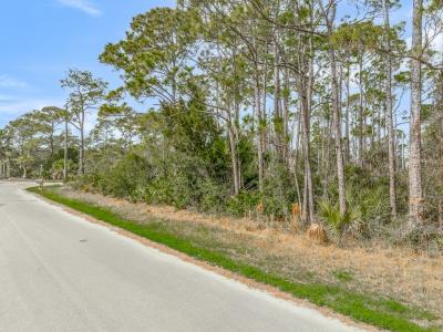 741 W Bayshore Drive, St. George Island, 佛罗里达州 32328, 美国
