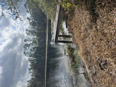 1963 SR 20, Hawthorne, Floride 32640, États-Unis