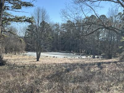 510 Old Waters Highway, Pine Ridge, Arkansas 71961, Estados Unidos
