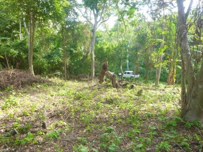 Managua Managua, Managua 00001, Nicaragua