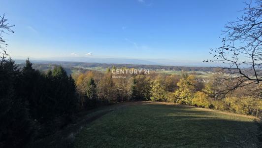 Majšperk, Preša, Majšperk, Podravska 2322, Slovenia