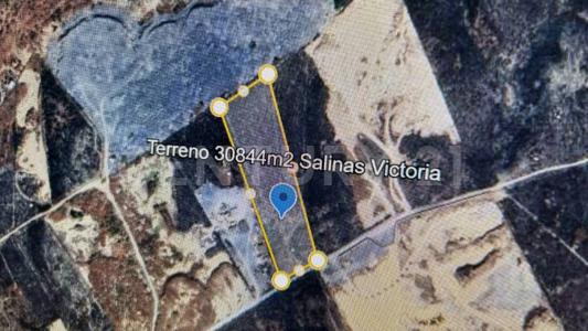 Salinas Victoria, Nuevo León 65500, México
