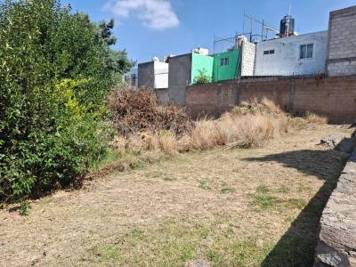 XICOHTENCATL 15,, Tlaxcala, Tlaxcala 90110, Mexico