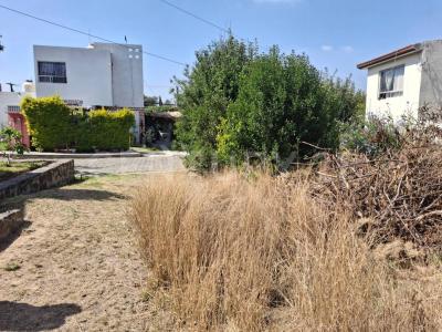 XICOHTENCATL 15,, Tlaxcala, Tlaxcala 90110, Mexico