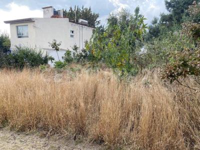 XICOHTENCATL 15,, Tlaxcala, Tlaxcala 90110, Mexico