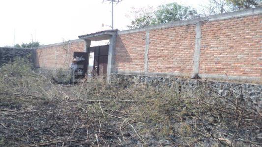 PINO s/n,, Emiliano Zapata, Morelos 62763, Meksyk