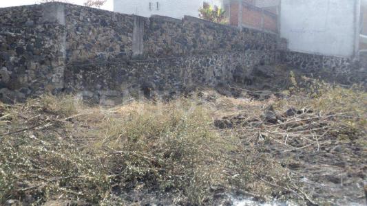 PINO s/n,, Emiliano Zapata, Morelos 62763, Meksyk
