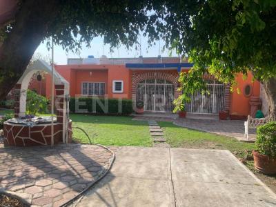 Adolfo Lopez Mateos ,, Cuautla, Morelos 62743, México