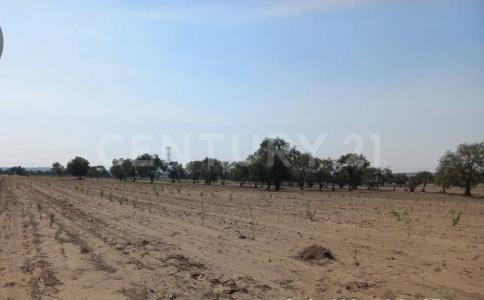 Parcela 327, Z-5, P1/3 0,, Huamantla, Tlaxcala 90515, Mexico