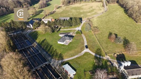 Chemin des Meuniers 70, Thy-le-château, 5651, بلجيكا