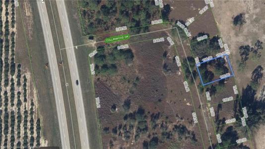 136 Collinwood Drive, Lake Placid, Floride 33852, États-Unis