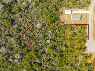 339 Blue Heron Drive, Eastpoint, 佛罗里达州 32328, 美国