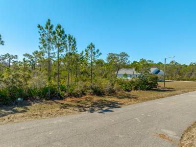 339 Blue Heron Drive, Eastpoint, 佛罗里达州 32328, 美国