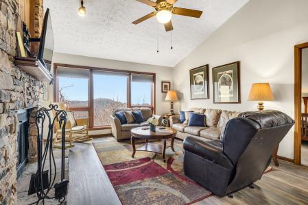 1130 Ski View Dr.  Unit 305, Gatlinburg, Теннесси 37738, Соединенные Штаты