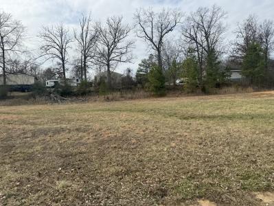 Karmen Lane Lots 17 & 18, Poplar Bluff, Missouri 63901, Amerika Birleşik Devletleri