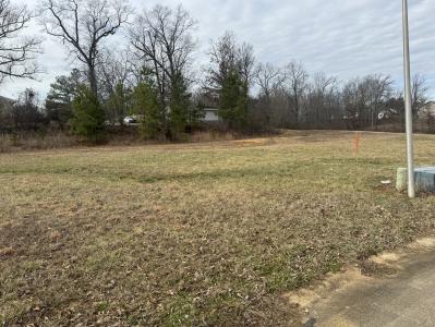 Karmen Lane Lots 17 & 18, Poplar Bluff, Missouri 63901, Amerika Birleşik Devletleri