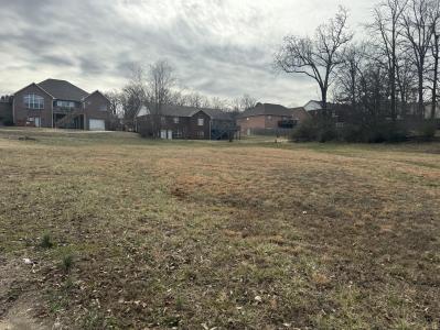 Karmen Lane Lots 17 & 18, Poplar Bluff, Missouri 63901, Amerika Birleşik Devletleri