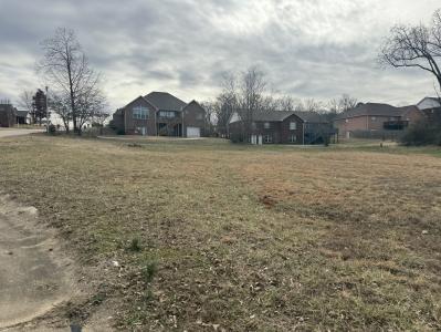 Karmen Lane Lots 17 & 18, Poplar Bluff, Missouri 63901, Amerika Birleşik Devletleri