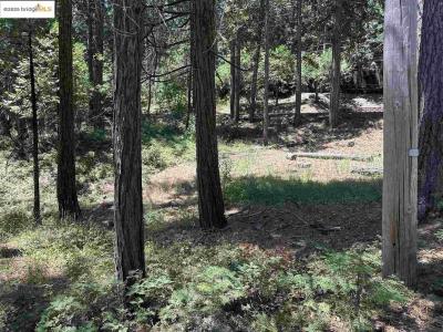 25391 Rebekah Rd, Long Barn, Califórnia 95335, Estados Unidos