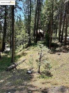 25391 Rebekah Rd, Long Barn, California 95335, HOA KỲ