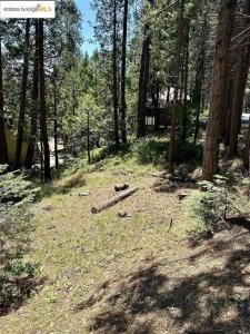 25391 Rebekah Rd, Long Barn, California 95335, HOA KỲ