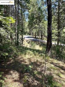 25391 Rebekah Rd, Long Barn, California 95335, HOA KỲ