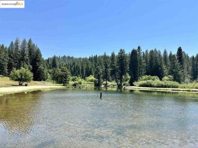 25391 Rebekah Rd, Long Barn, California 95335, HOA KỲ