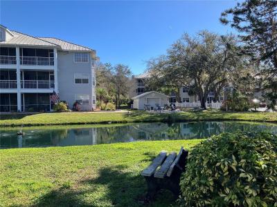 2210 VISTA DEL SOL CIRCLE #519, LUTZ, Floride 33558, États-Unis