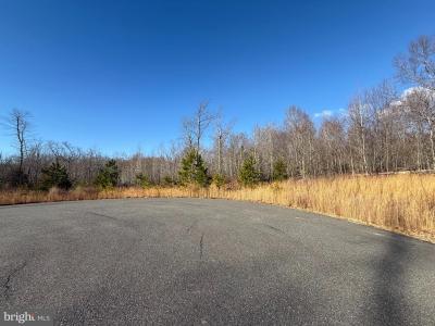 Catkin, King George, Virginia 22485, USA