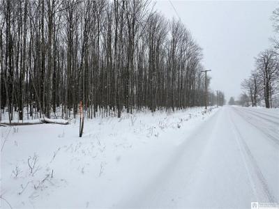 583 Prosser Hill Rd., Jamestown, 紐約州 14701, 美國