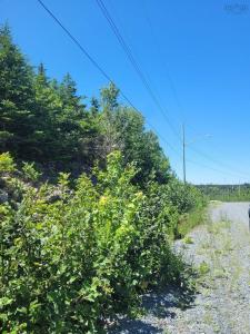 WS-1 WESTSIDE INLET DRIVE, West Petpeswick, 新斯科舍省 B0J 2L0, 加拿大