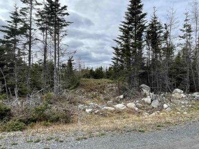 143 19 LIPKUDAMOONK PATH, Clam Bay, Nova Scotia B0J 1Y0, Canada