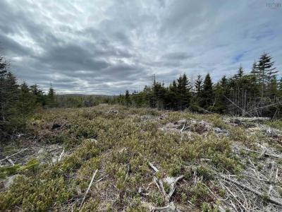 143 19 LIPKUDAMOONK PATH, Clam Bay, Neuschottland B0J 1Y0, Kanada