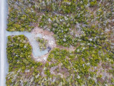 384 OWL DRIVE, East Petpeswick, Nova Scotia B0J 2L0, Canada