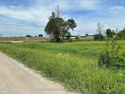 N/A DILLON RD, Otonabee-south Monaghan, Ontario K9L 0B8, Canadá