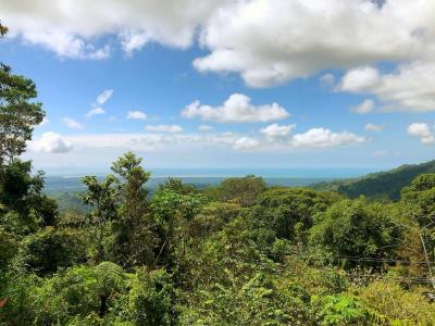 La cuesta del burro , Puerto Cortés Osa, Puntarenas 00001, Costa Rica