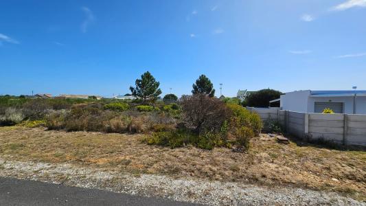 Hermanus, Western Cape, 南アフリカ