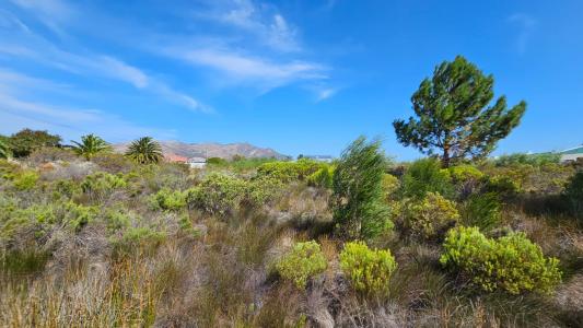 Hermanus, Western Cape, 南アフリカ