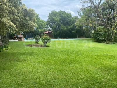 GOBERNADOR JALISCO 001,, Cuernavaca, Morelos 62350, Mexique