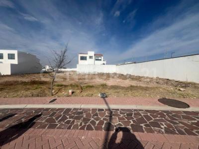 Cerrada del Nogal Ex Rancho La Cruz 701,, El Marqués, 케레타로 76246, 멕시코