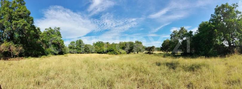 Santo Domingo Tehuantepec S/N,, Santo Domingo Tehuantepec, Oaxaca 70760, Mexico