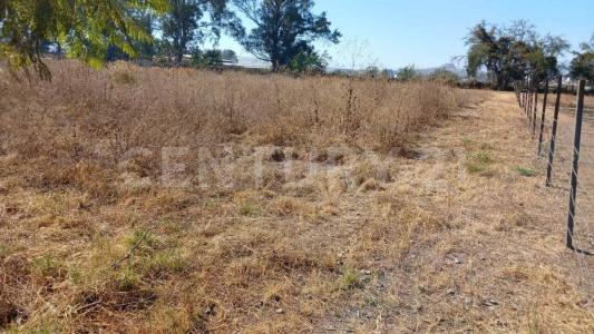 Tonala, Jalisco 45428, Meksyk