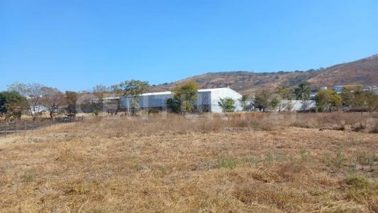 Tonala, Jalisco 45428, Meksyk