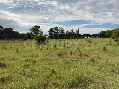Ciudad Guzmán, Jalisco 49000, Mexique