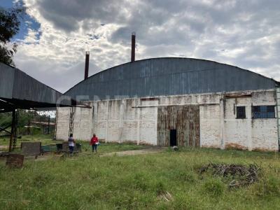 Ciudad Guzmán, Jalisco 49000, Mexique