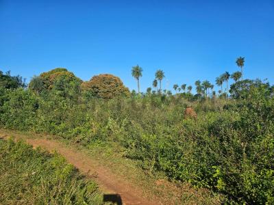 Kokue Guasu , Emboscada, Cordillera 00001, Paraguay